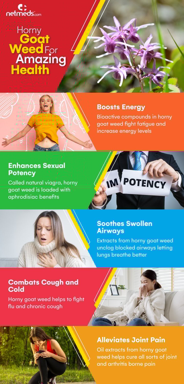 Horny goat weed