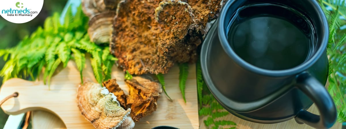 supplements for stamina