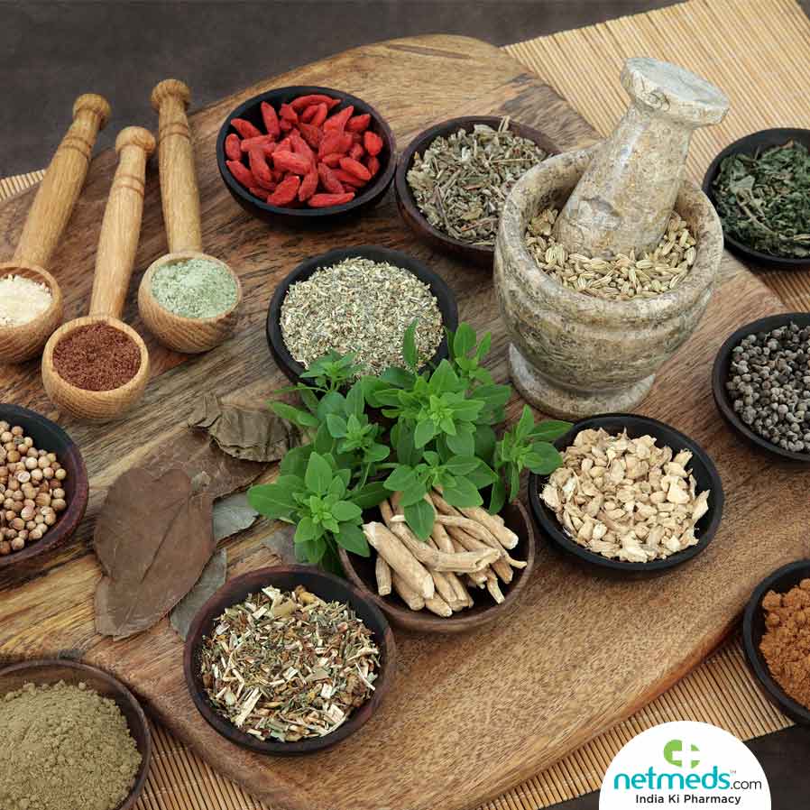 Herbs for a Healthy Digestive System