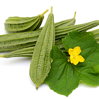 Ridge Gourd: Excellent Health Benefits Of Adding This Water Vegetable To Your Daily Diet