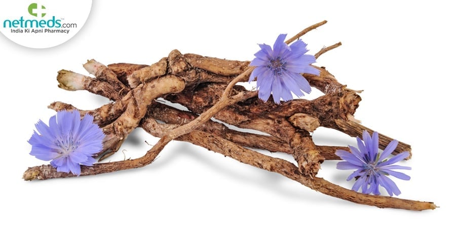 Health Benefits Of Kasani