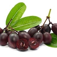 Karonda: Tremendous Health Benefits Of The Black Currant Fruit