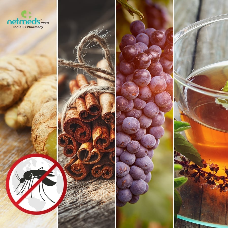 Malaria Home Remedies