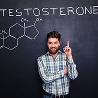 Testosterone: Structure, Crucial Functions, Adverse Effects