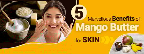Mango Seed Butter For Winter Skin: Benefits And Uses For A Radiant Glow