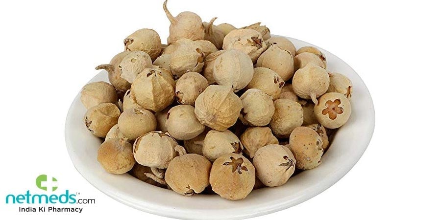Paneer Dodi: Best Herb For Curing Diabetes