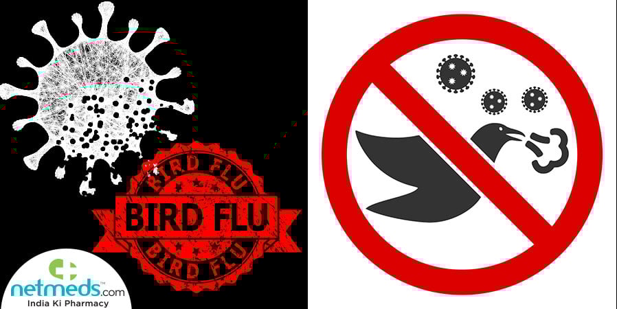 Bird Flu