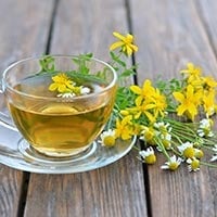 Nervine Tonics: Incredible Health Benefits, Uses And Side Effects