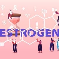 Estrogen: Structure, Crucial Functions, Adverse Effects