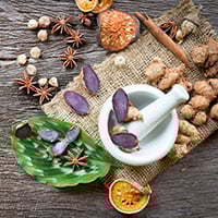 Dashamoola: Benefits, Uses, Ingredients, Dosage And Side Effects