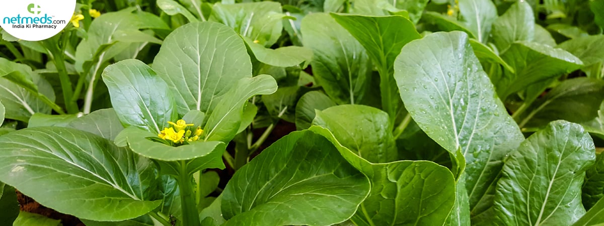 Choy Sum