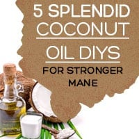 Coconut Oil: 5 Amazing Coconut Oil DIY Recipes For Lustrous And Healthier Hair-Infographic