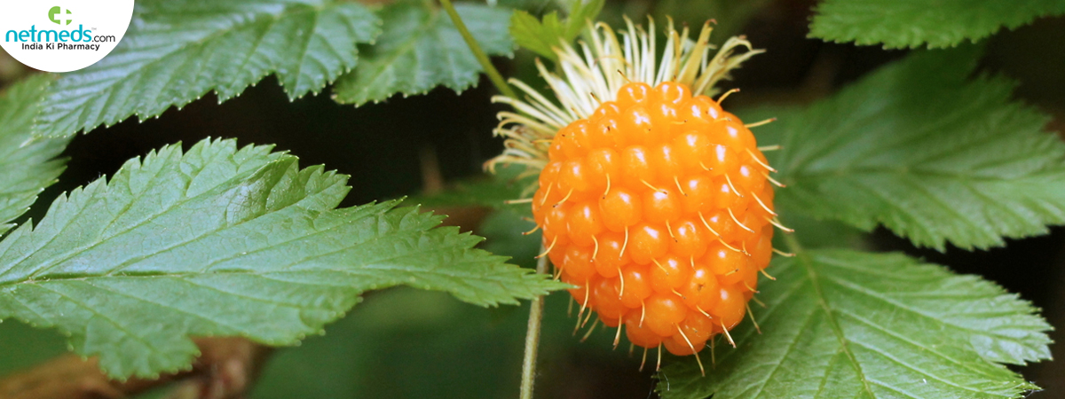 Salmonberry