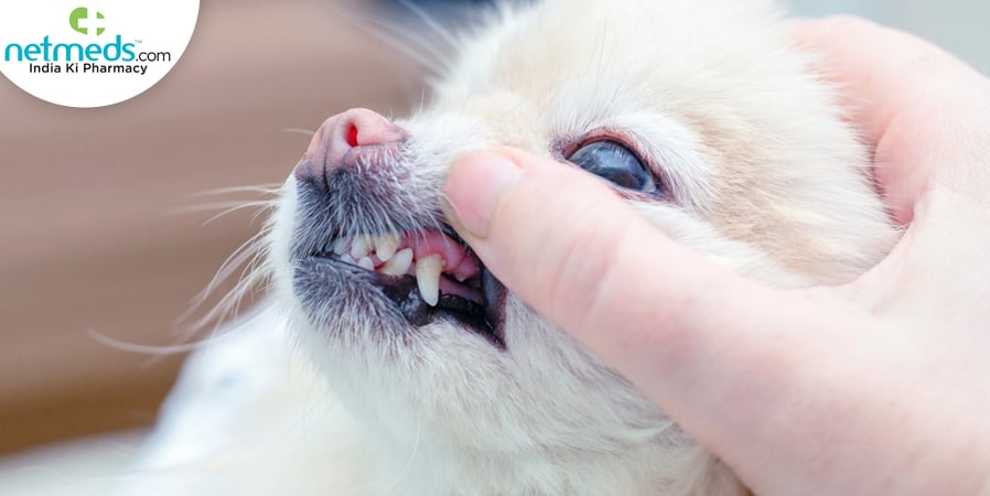 periodontal disease