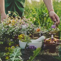 5 Holistic Herbs To Manage Menopause #shorts