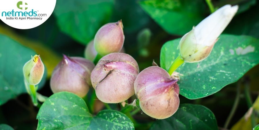 Nisoth Benefits