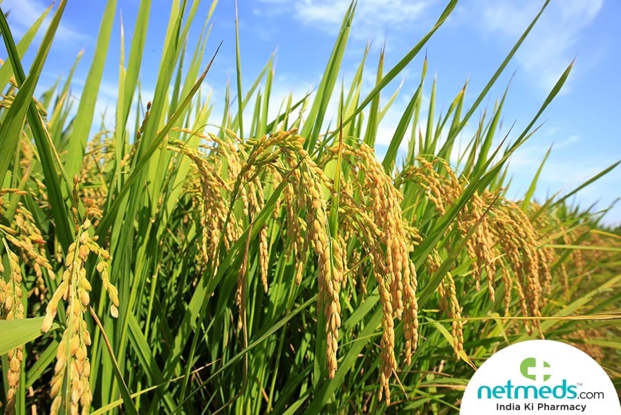 rice bran oil 4