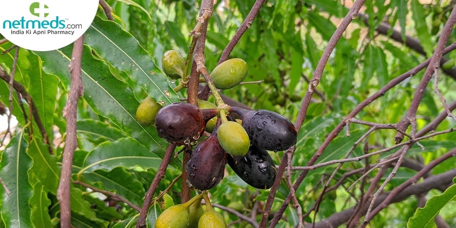 ashoka fruiy