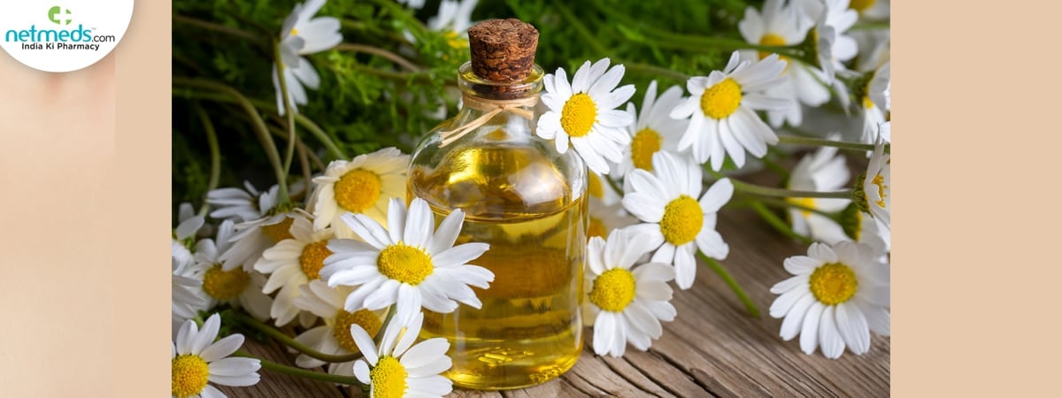 chamomile oil