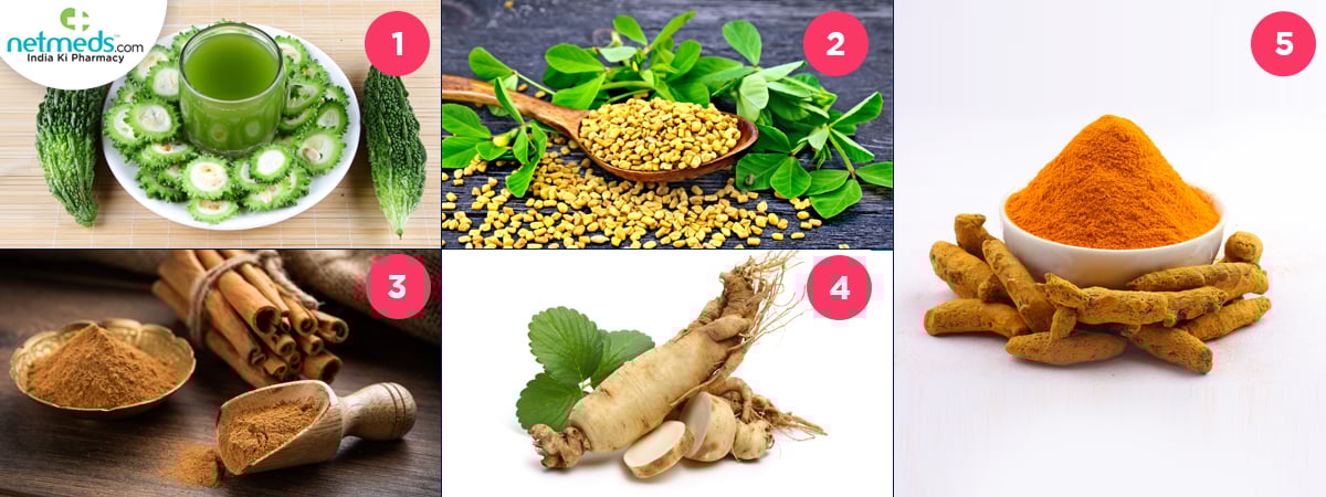 herb for pancreas