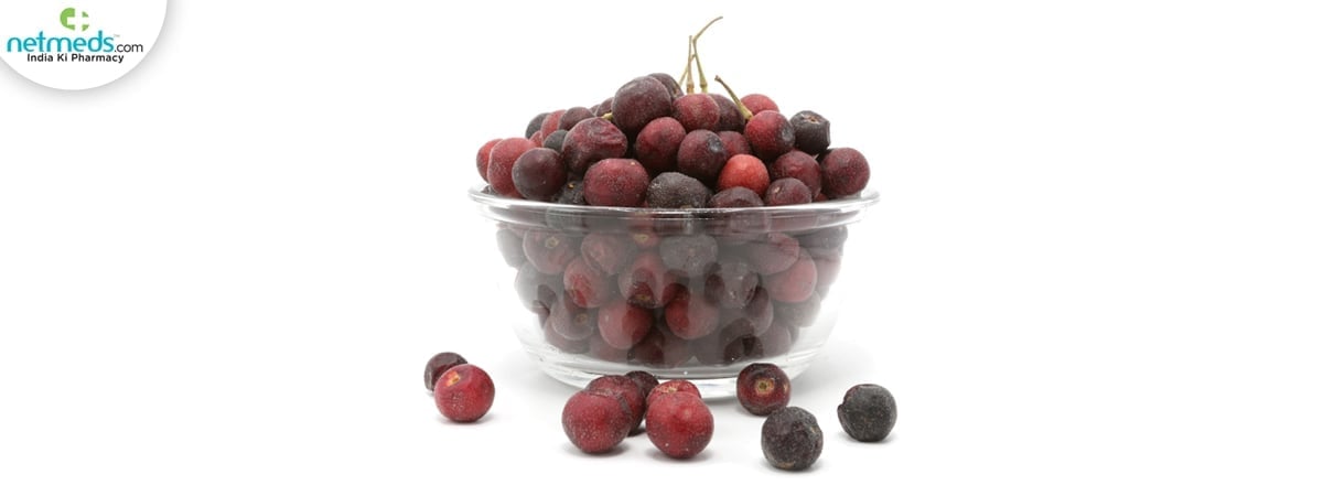 phalsa