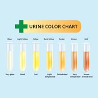 Different Colours Of Urine: Know What They Imply About Overall Health