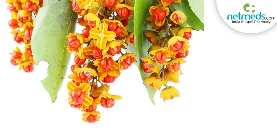 Malkangani