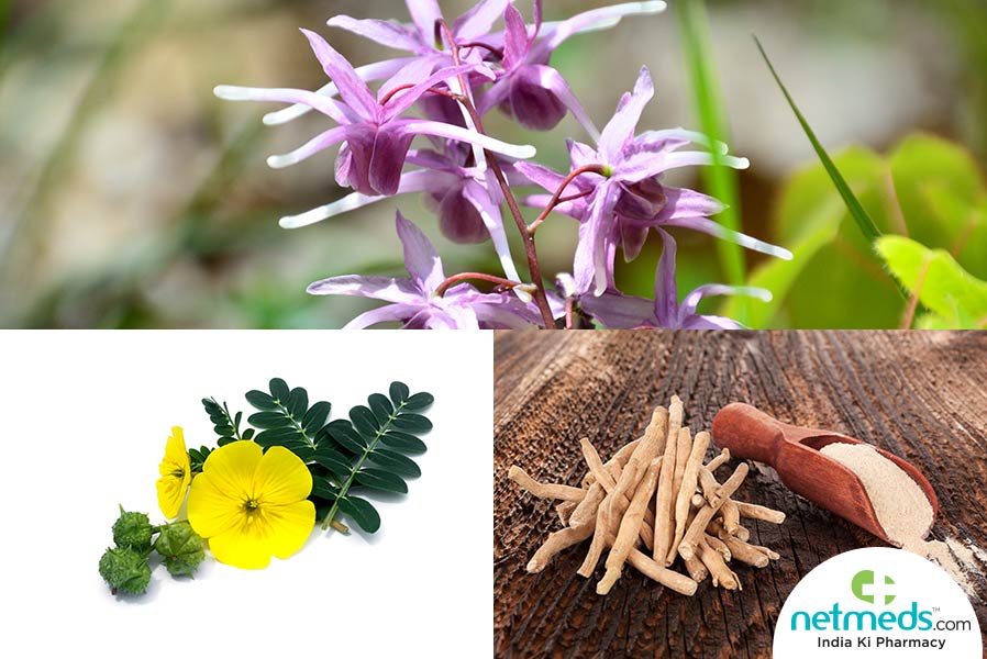 Herbs to improve testosterone