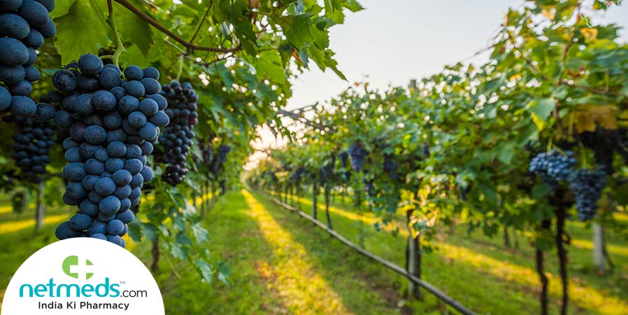 Grapevines