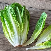 Romaine Lettuce: Health Benefits, Nutrition, Uses, And Recipes