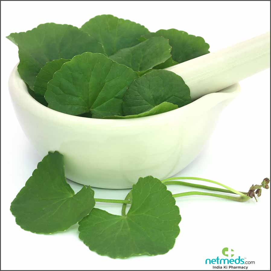 Gotu kola for brain health