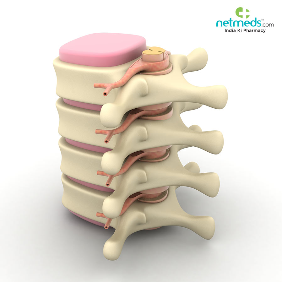 3D printed implants for spinal cord