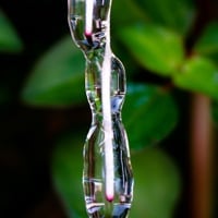Plant Mucilage: Benefits Of This Skin Healing Emollient, Uses And Precautions