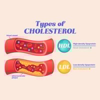 CHOLESTEROL: Is It Good Or Bad?