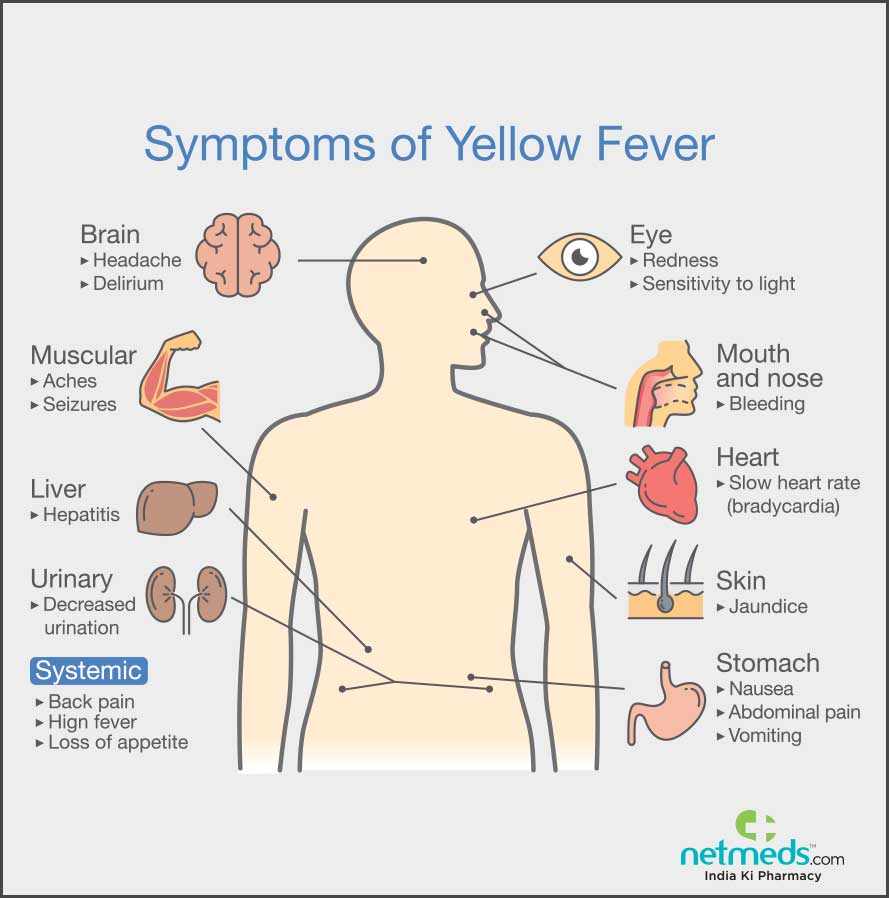 yellow fever causes