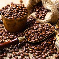 Coffee Bean Extracts Can Cut Fat-Induced Inflammation, Says Study