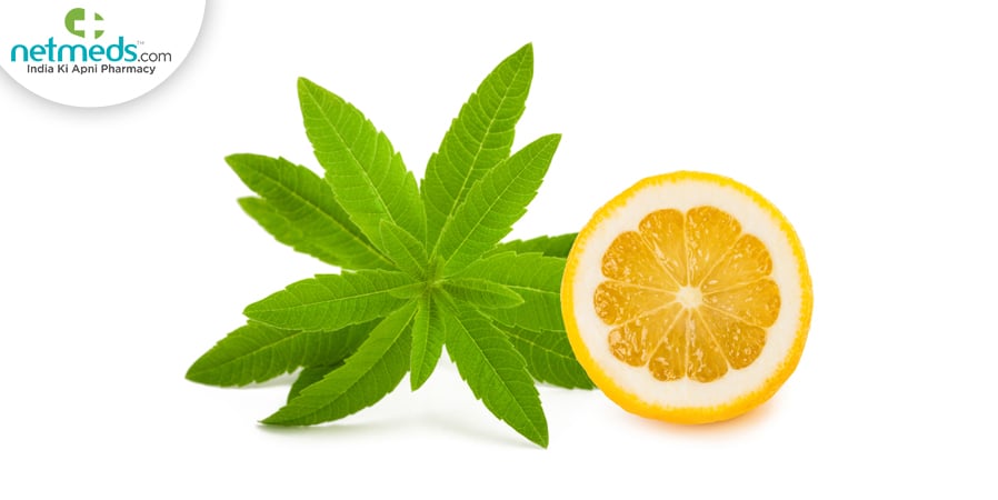 lemon beebrush