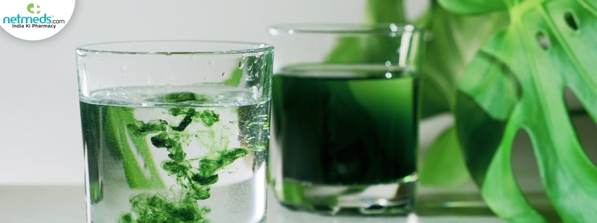 chlorophyll water