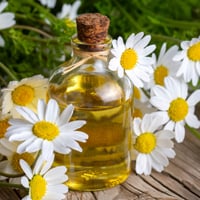 Chamomile Oil For Skin: Uses, Benefits And Ways To Incorporate This Golden Elixir Into Your Beauty Routine