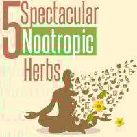 Nootropics: 5 Excellent Ayurvedic Herbs To Enhance Memory – Infographic