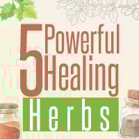 5 Mighty Healing Herbs That Promote Overall Health-Infographic