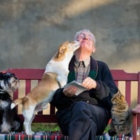 Pet Love: Benefits Of Four-Legged Friend For The Elderly, Factors To Keep In Mind