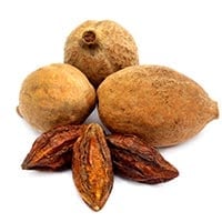 Baheda: Benefits, Uses, Ayurvedic Indications, Dosage, And Side Effects