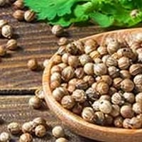 World Malaria Day: Herbal Remedies To Recover From Fever