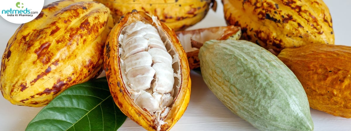cacao fruit