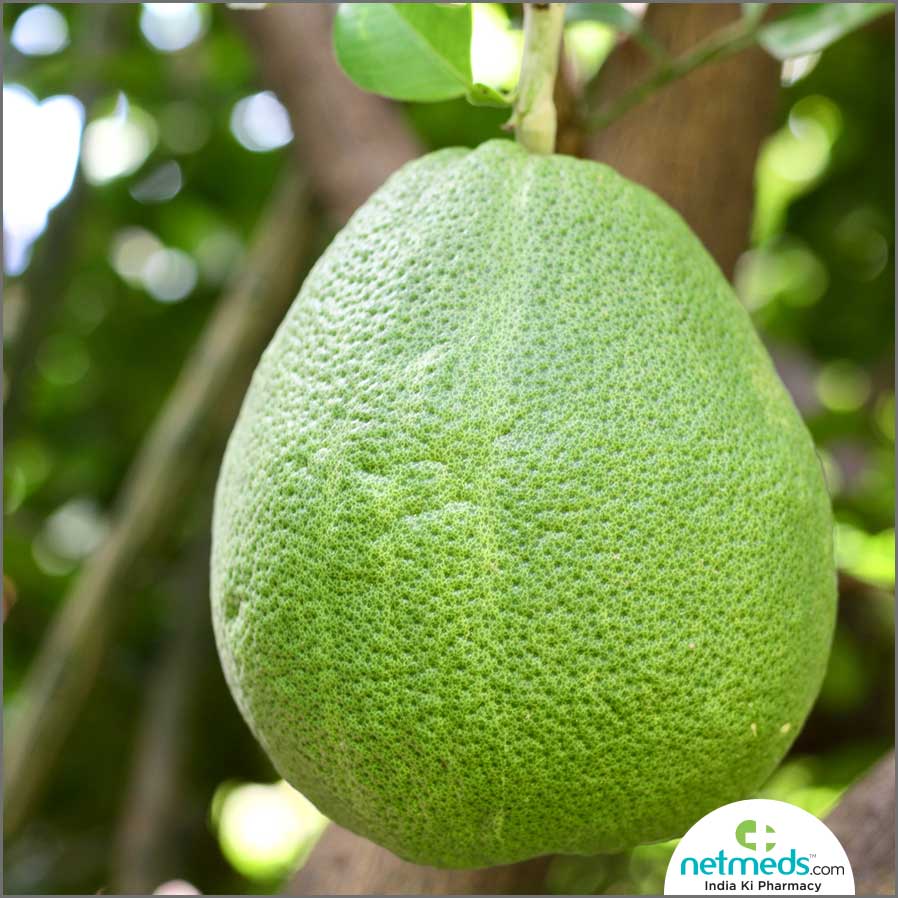 pomelo fruit in tree