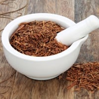 Catuaba Herb: Uses, Sexual Health Benefits Of This Aphrodisiac Wonder