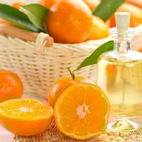 Marula Plant Extracts: Health Benefits, Traditional Uses, And Simple Herbal Tea Recipe