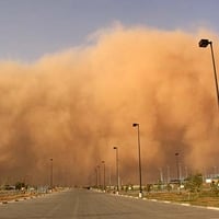 Dust storm: Impact of dust pollution on the lungs