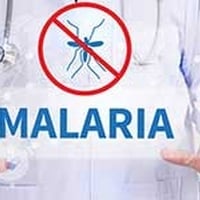 Learn About Prevention Of Malaria In Mosquito Season